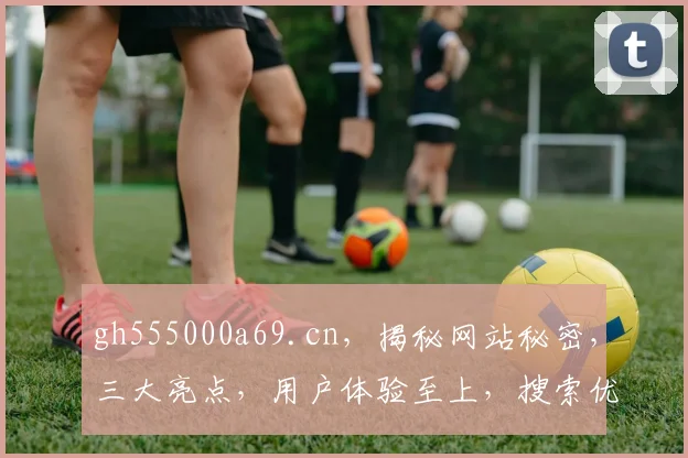 gh555000a69.cn，揭秘网站秘密，三大亮点，用户体验至上，搜索优化首选