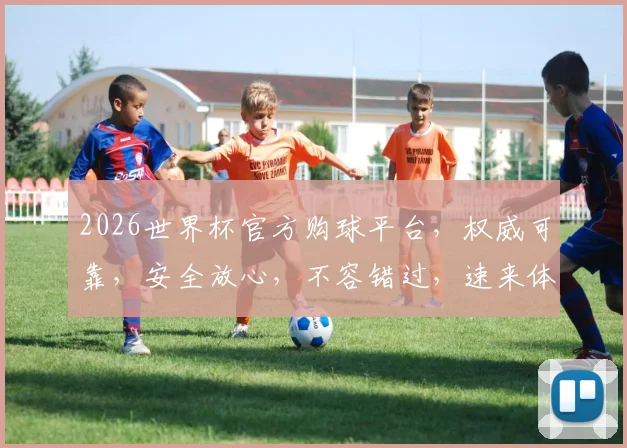 2026世界杯官方购球平台，权威可靠，安全放心，不容错过，速来体验