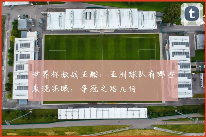 世界杯激战正酣，亚洲球队有哪些表现亮眼，争冠之路几何